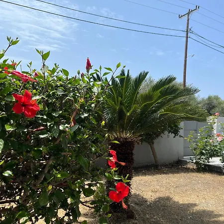 Silver Palm House Ixia, Rhodes イキソス