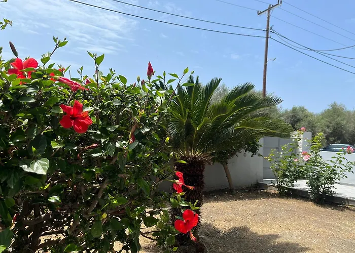 Silver Palm House Ixia, Rhodes イキソス